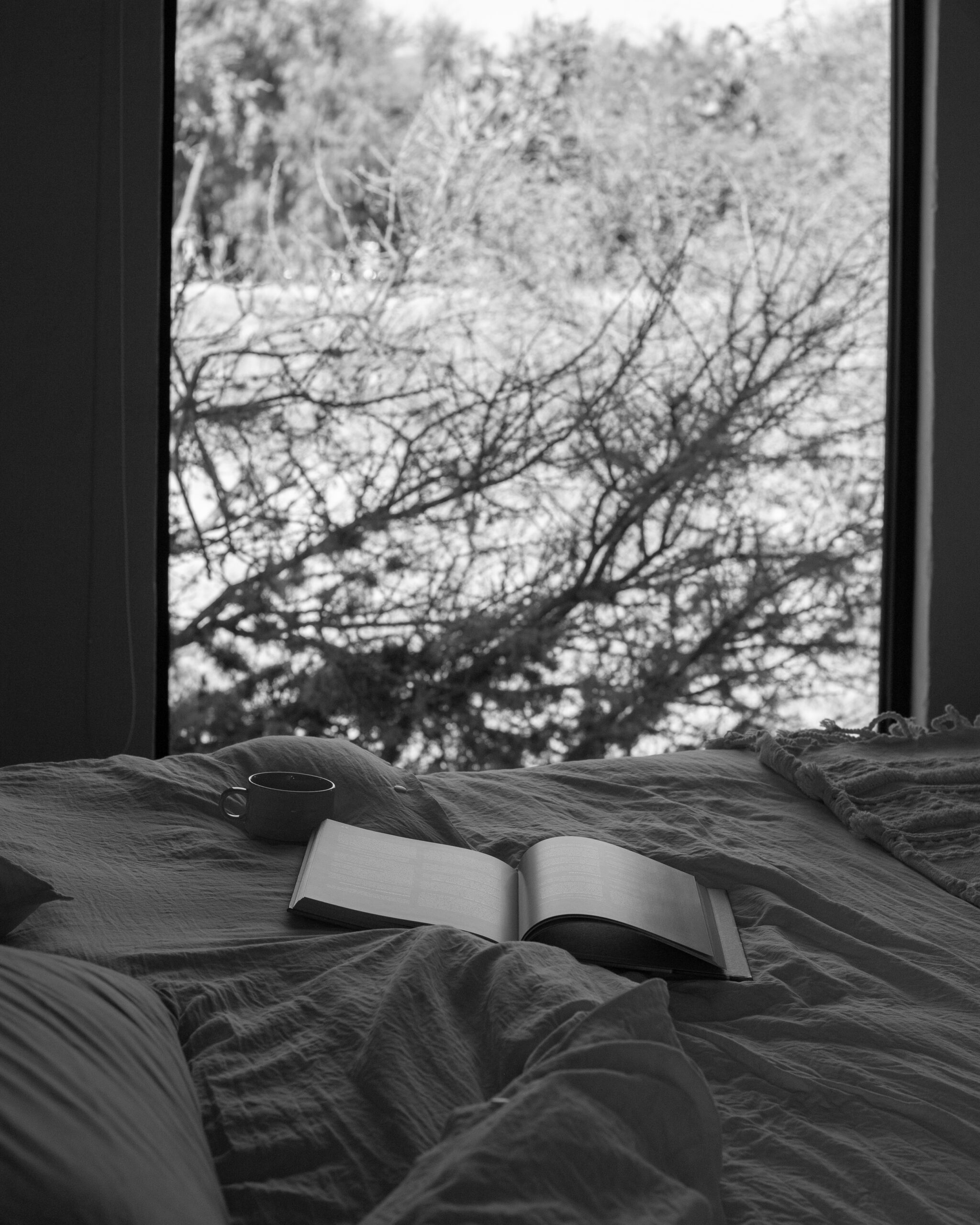 Room image 5