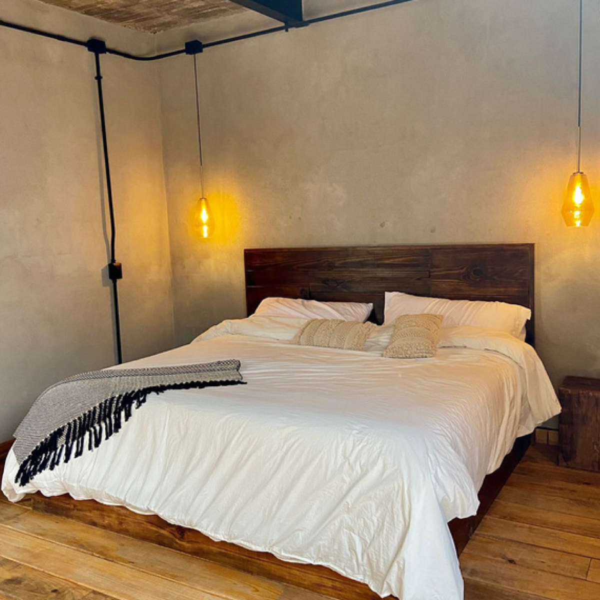 Opuntia Suites
